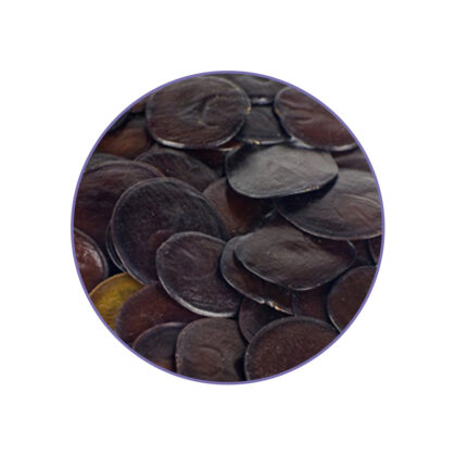 Autre vue de Yopo Seeds