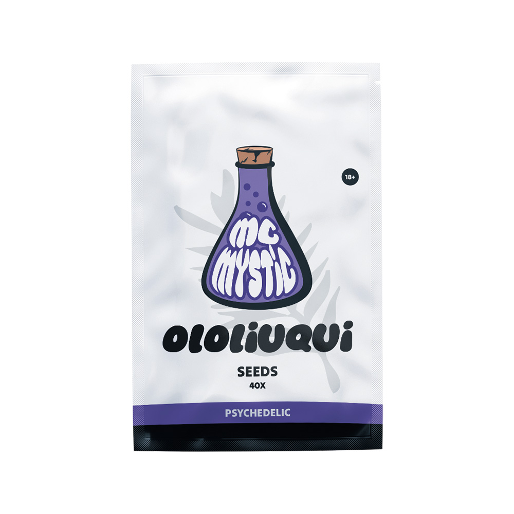 Ololiuqui Seeds - Tatanka.nl Graines d'Ololiuqui – Vue de face McMystic