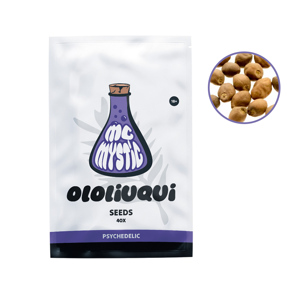 Ololiuqui Seeds - Tatanka.nl Graines d'Ololiuqui – Vue de face McMystic + contenu