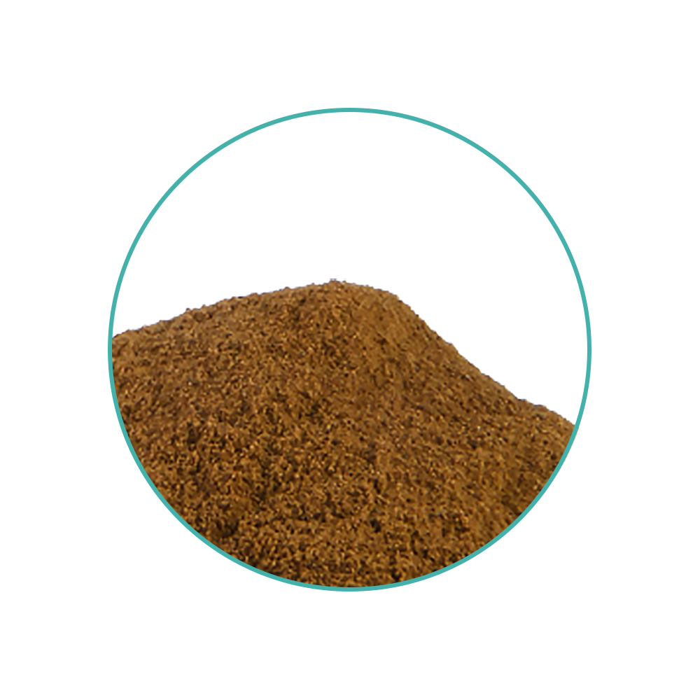 Passion Flower 5X Extract - Tatanka.nl Passion Flower 5X Extract - Afbeelding 2