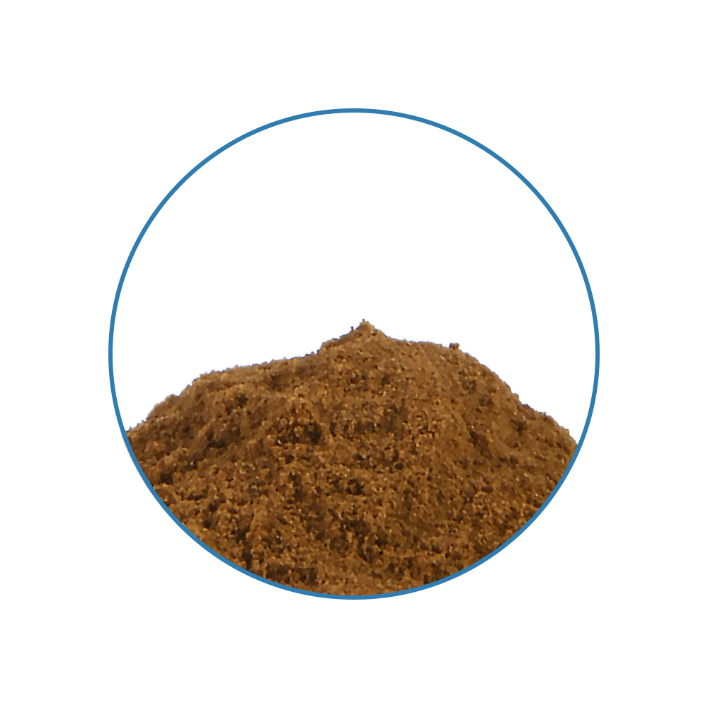 Ekstrakt Wild Dagga 20X – Tatanka.nl Wild Dagga 20X Extract - obrazek 2